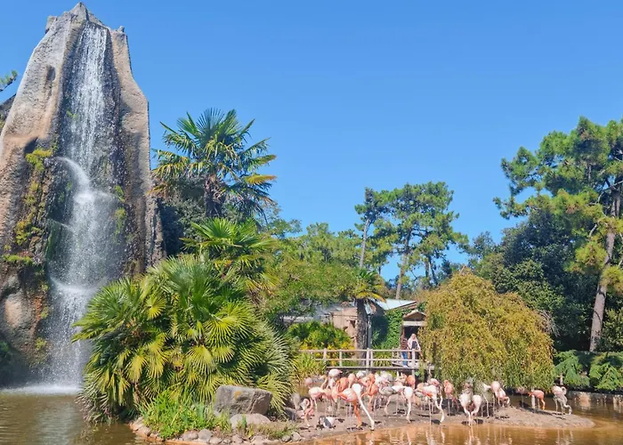 Gorgeous In With Wifi * Sémussac